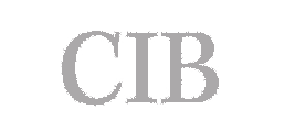 Logo CIB Gris