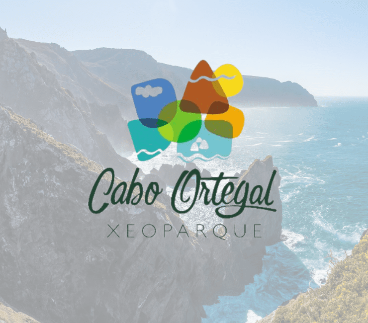 Diseño sin título 12