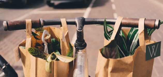 ¿Qué es un hotel sostenible y que tienes que hacer para convertirte en uno? 6 hotel sostenible con movilidad sostenible