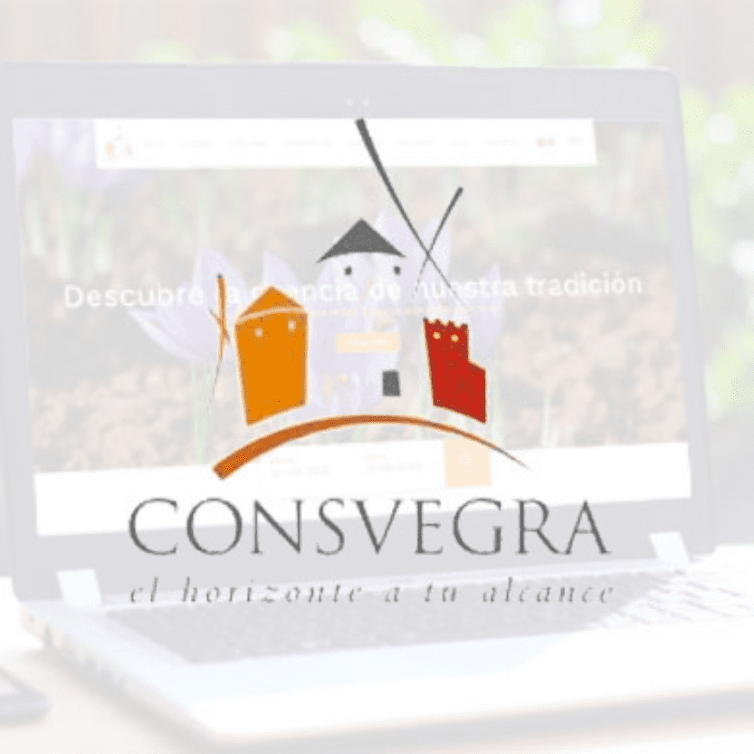 Turismo de Consuegra