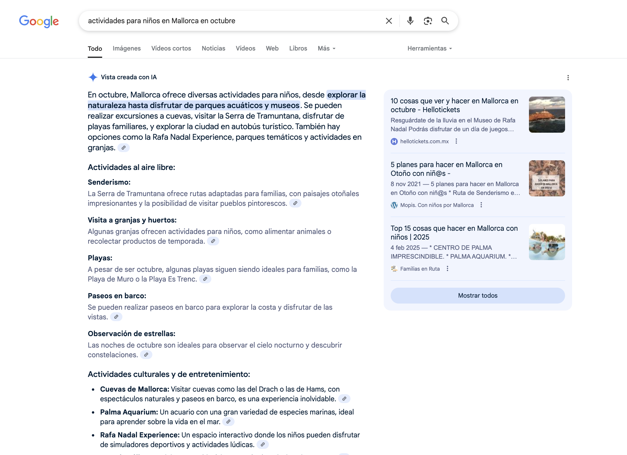 SEO para negocios turísticos profesionales