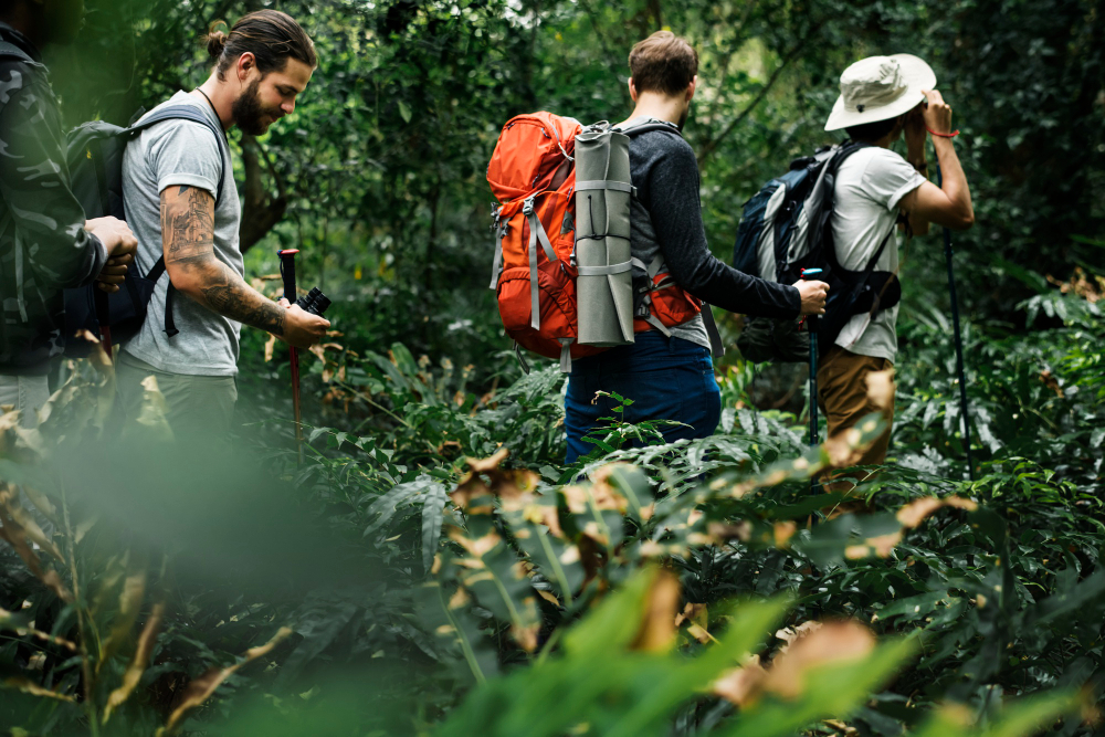 Turismo sostenible tacticas para reducir costes y atraer eco turistas